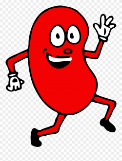 Hello Clipart Kidney - You Ve Got To Be Kidney Me - Png ...