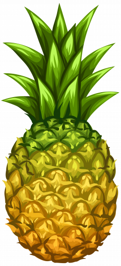Pineapple PNG Clip Art Image | Gallery Yopriceville - High-Quality ...