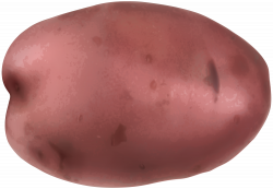 Pink Potato Transparent PNG Clip Art Image | Gallery Yopriceville ...
