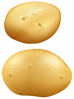 Potatoes PNG Clipart | Gallery Yopriceville - High-Quality Images ...
