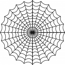 Best Spider Web Png #21469 - Clipartion.com