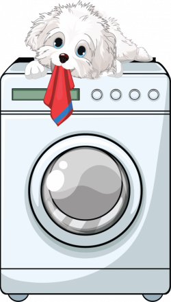 News - Laundromat Services for Sarasota, Bradenton, Palmetto & Ellenton