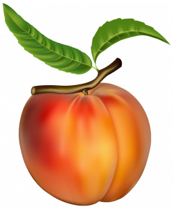 Peach PNG Clipart - Best WEB Clipart
