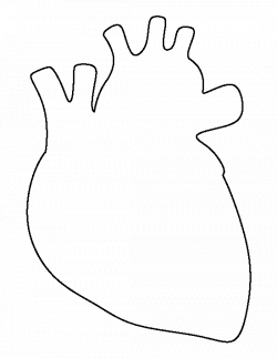 Human Heart Simple Drawing at GetDrawings.com | Free for personal ...