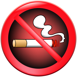 No Smoking Prohibition Sign PNG Clipart - Best WEB Clipart