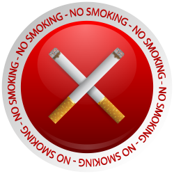 No Smoking Prohibition PNG Clipart - Best WEB Clipart