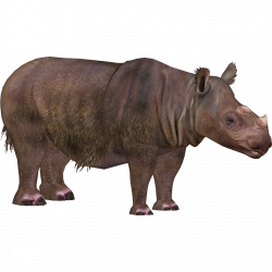 Sumatran Rhinoceros (Eryel) | ZT2 Download Library Wiki | FANDOM ...