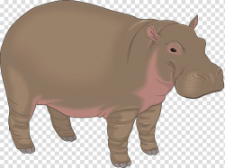 Hippopotamus Baby Hippos Free content , Hippo material ...