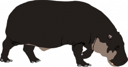 Pygmy Hippopotamus by Michell-Vall on DeviantArt