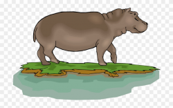 Cartoon Hippo Clipart Clipartme - Pygmy Hippo Clipart - Png ...