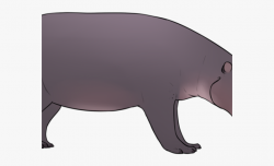 Hippopotamus Clipart Pygmy Hippo - Manatee #302763 - Free ...