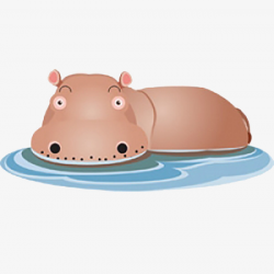 Hippo And Water Png & Free Hippo And Water.png Transparent ...
