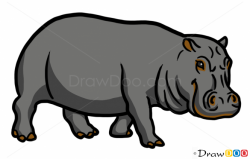 How to Draw Hippopotamus, Wild Animals | Clip art in 2019 ...