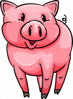 Pig PNG Transparent Free Images | PNG Only