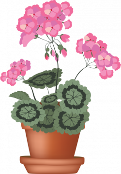 Clip Art of beautiful plants for the spring garden: Geranium | FAVE ...
