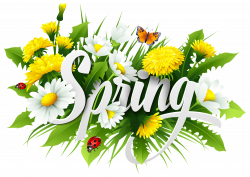 Spring Decorative Image PNG Clipart | Gallery Yopriceville - High ...