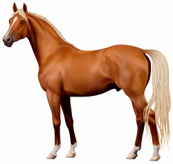 Brown Horse PNG Clipart - Best WEB Clipart
