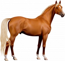 Transparent Horse PNG Clipart | Gallery Yopriceville - High-Quality ...