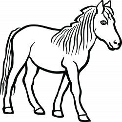 Horses Png Black And White & Free Horses Black And White.png ...