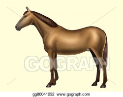 Stock Illustration - Horse anatomy - body parts - no text ...
