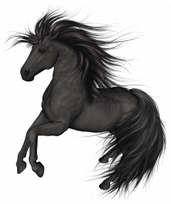 Black Horse PNG Clip Art - Best WEB Clipart