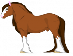 Shire Horse For Sale TAKEN by SkylandAcresStables on DeviantArt