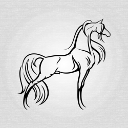 Elegant Stallion - Arabian Horse Art Graphic Design ...
