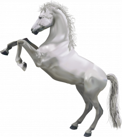 Clipart - White Horse