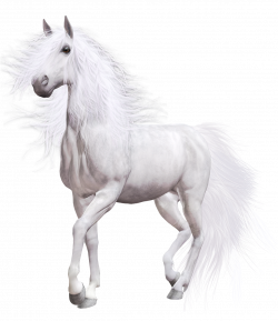 White Horse PNG Clip Art - Best WEB Clipart