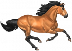Galloping Horse PNG Transparent Free Clipart Image #30 - Free ...