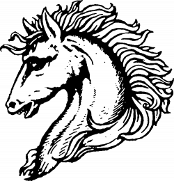 Horse Head Drawing Pictures at GetDrawings.com | Free for personal ...