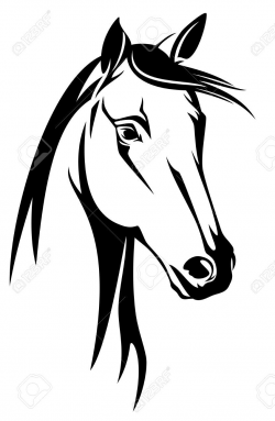 Stock Vector | Drawings | Horse head drawing, Silhouette art ...