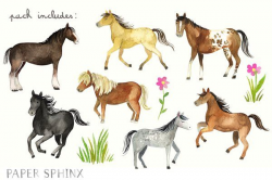 Watercolor Horses Clipart Pack - Illustrations - 2 ...
