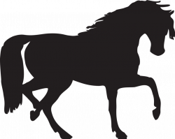 Horse | Free Stock Photo | Illustration of a horse silhouette | # 10664