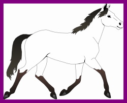 Impressive Black And White Horse Coloring Pages Incredible Clipart ...