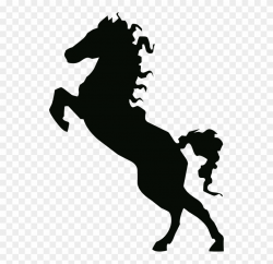 Stallion Clipart Transparent - Silhouette Of Horse - Png ...