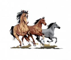 Horse Stallion Clip art - Running horse 659*556 transprent Png Free ...