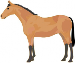 Standing horse clipart - Clip Art Library