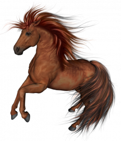 Mustang Arabian horse Thoroughbred Clip art - mustang 685*800 ...