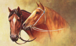 Free Vintage Thoroughbred Horse Clipart | ClipArtPlace