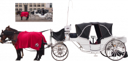 Horse Carriage PNG HD Transparent Horse Carriage HD.PNG Images ...