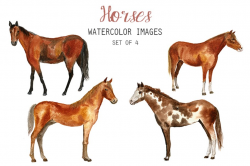 Watercolor Horses Clipart ~ Illustrations ~ Creative Market