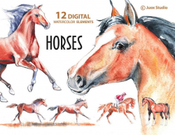 Horses Watercolor Painting Clipart, Stickers, Digital Elements, Derby, Boho  invitation, Greetings Diy card