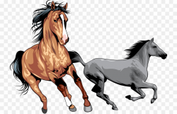 Wild Horses PNG Wild Horse Mustang Clipart download - 800 ...