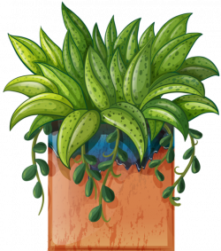 Clip Art of beautiful plants for the spring garden: Plant # 1 ...