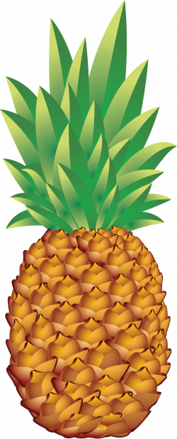 tumblr pineapple - Google Search | Transparent | Pinterest