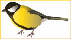 Awesome Iegk Pmjm Wff Png Animales Clip Art Bird Picture For Clipart ...
