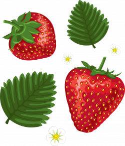 Strawberry transparent image | Strawberry | Pinterest