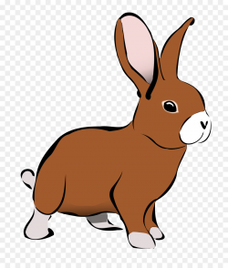 Easter Bunny Background clipart - Rabbit, transparent clip art