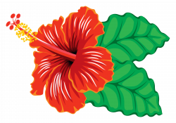 28+ Collection of Hibiscus Clipart | High quality, free cliparts ...